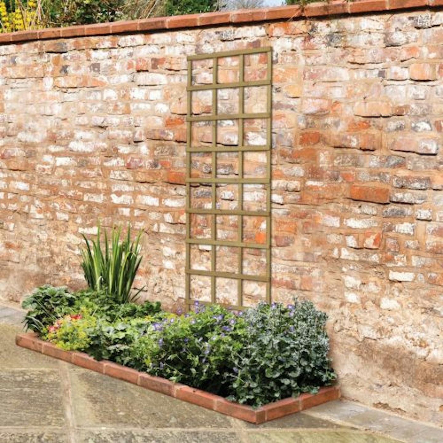 Forest Garden Smooth Planed Trellis Panel 