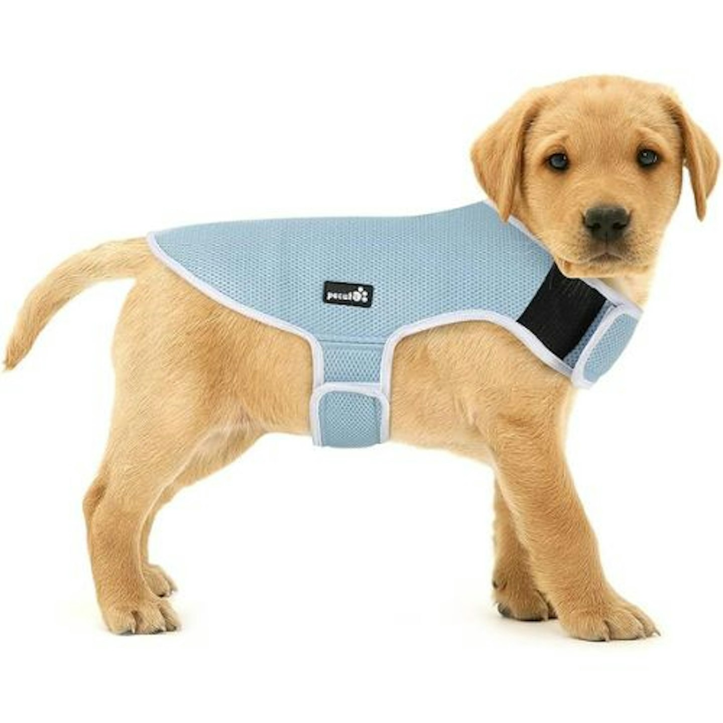 Pecute Dog Cooling Coat