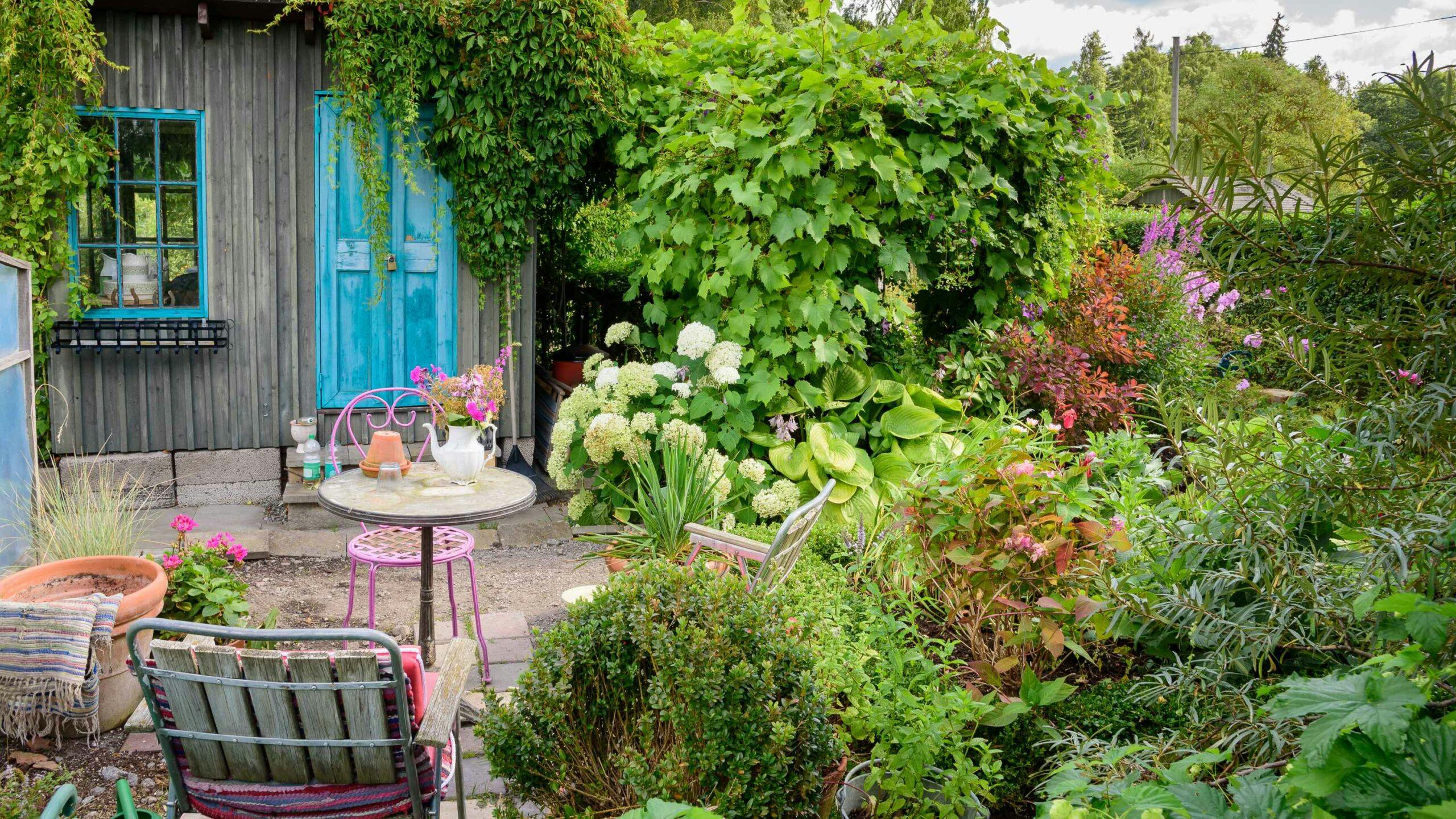 Small garden ideas on a budget – maximise your garden space UK 2024