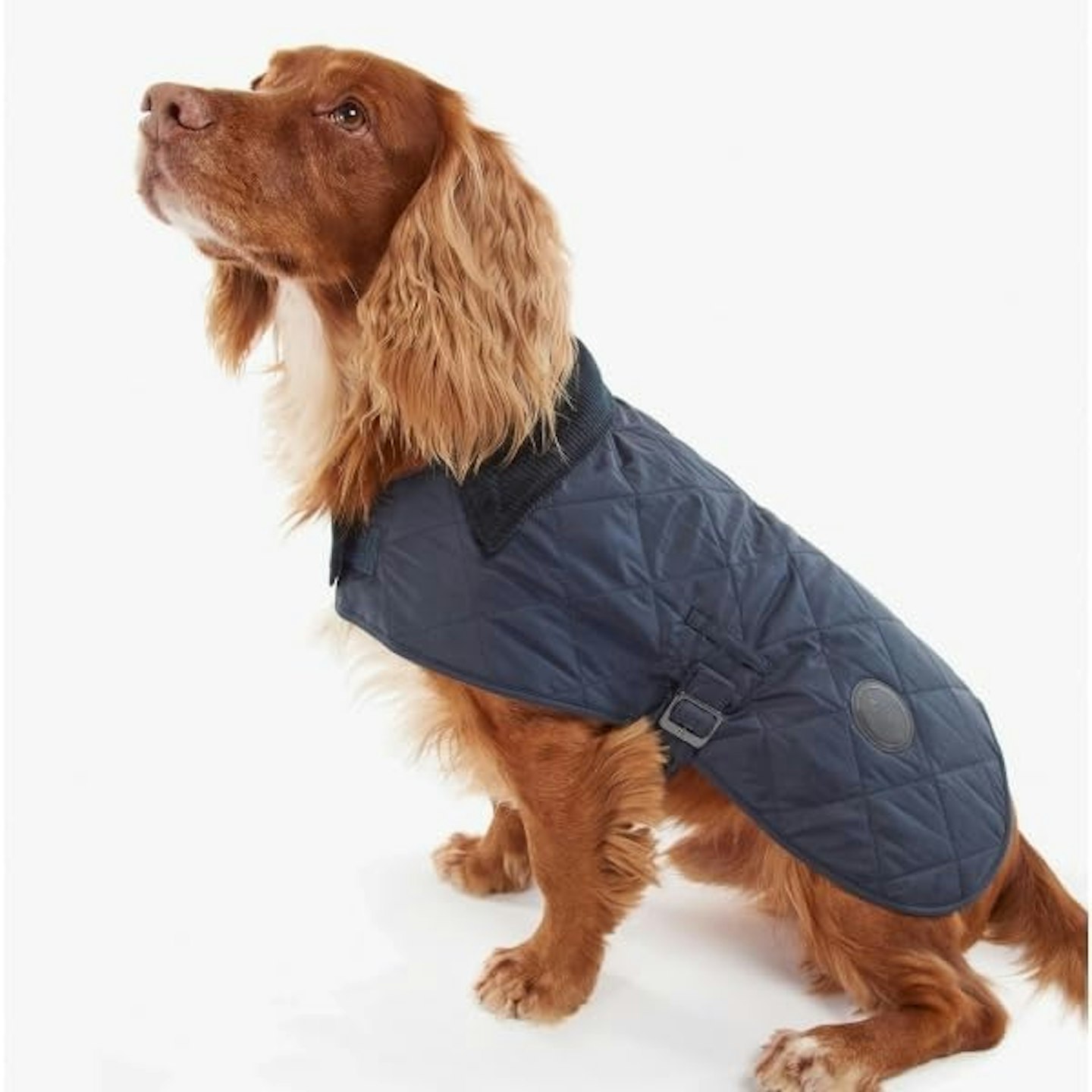 Barbour dog coat