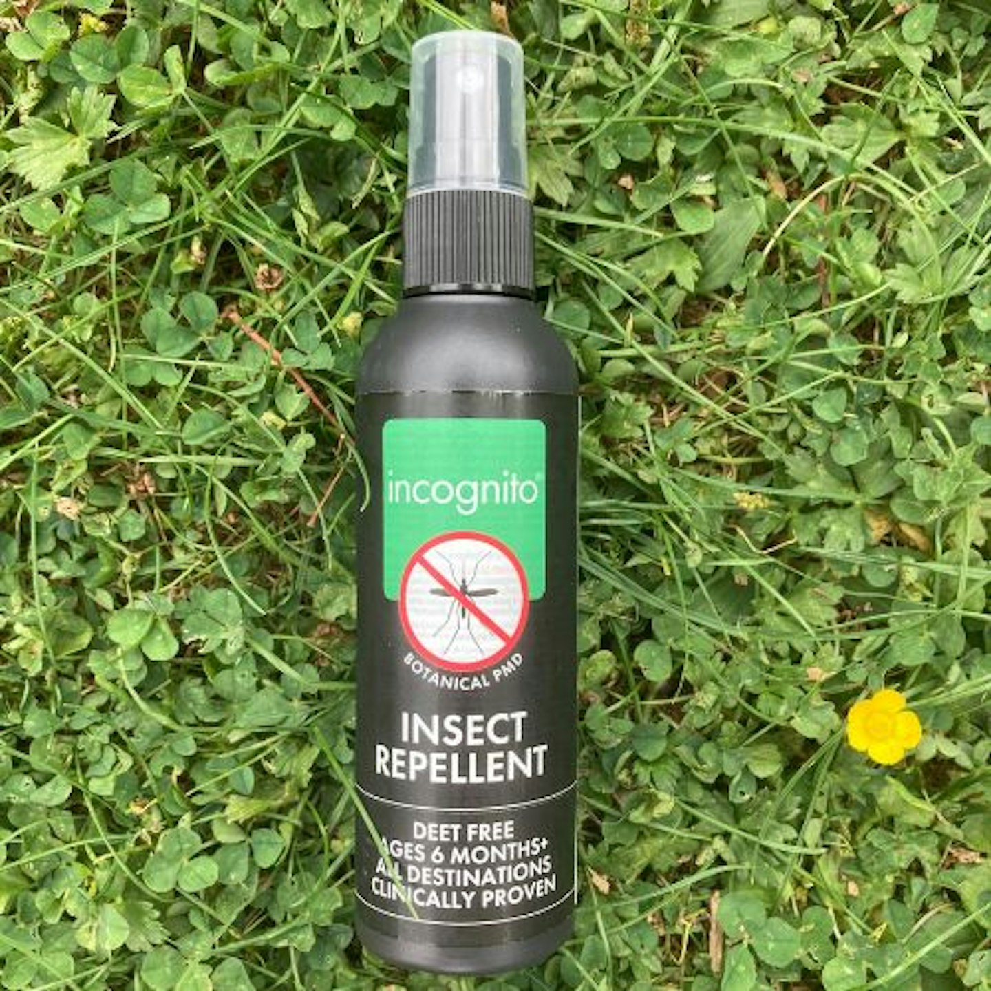 Incognito Insect Repellent Spray