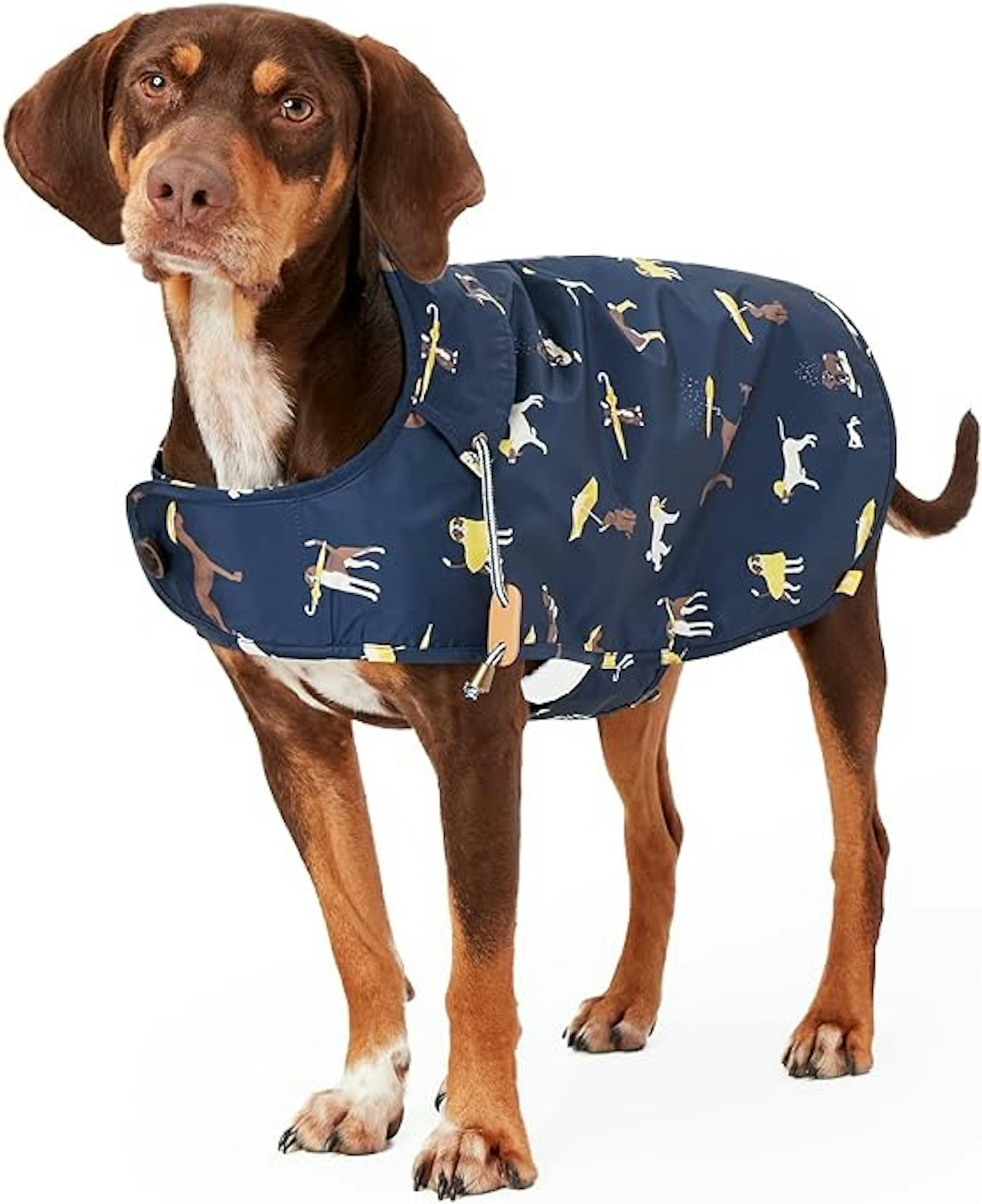 Rosewood Joules Navy Blue Raincoat For Dogs