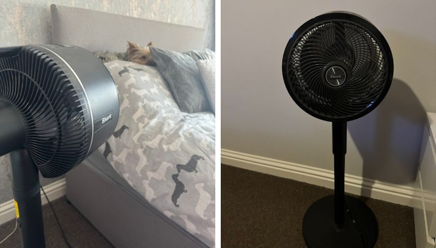 Using the Shark Flexbreeze fan in the bedroom at night and keeping my dog cool during the day.