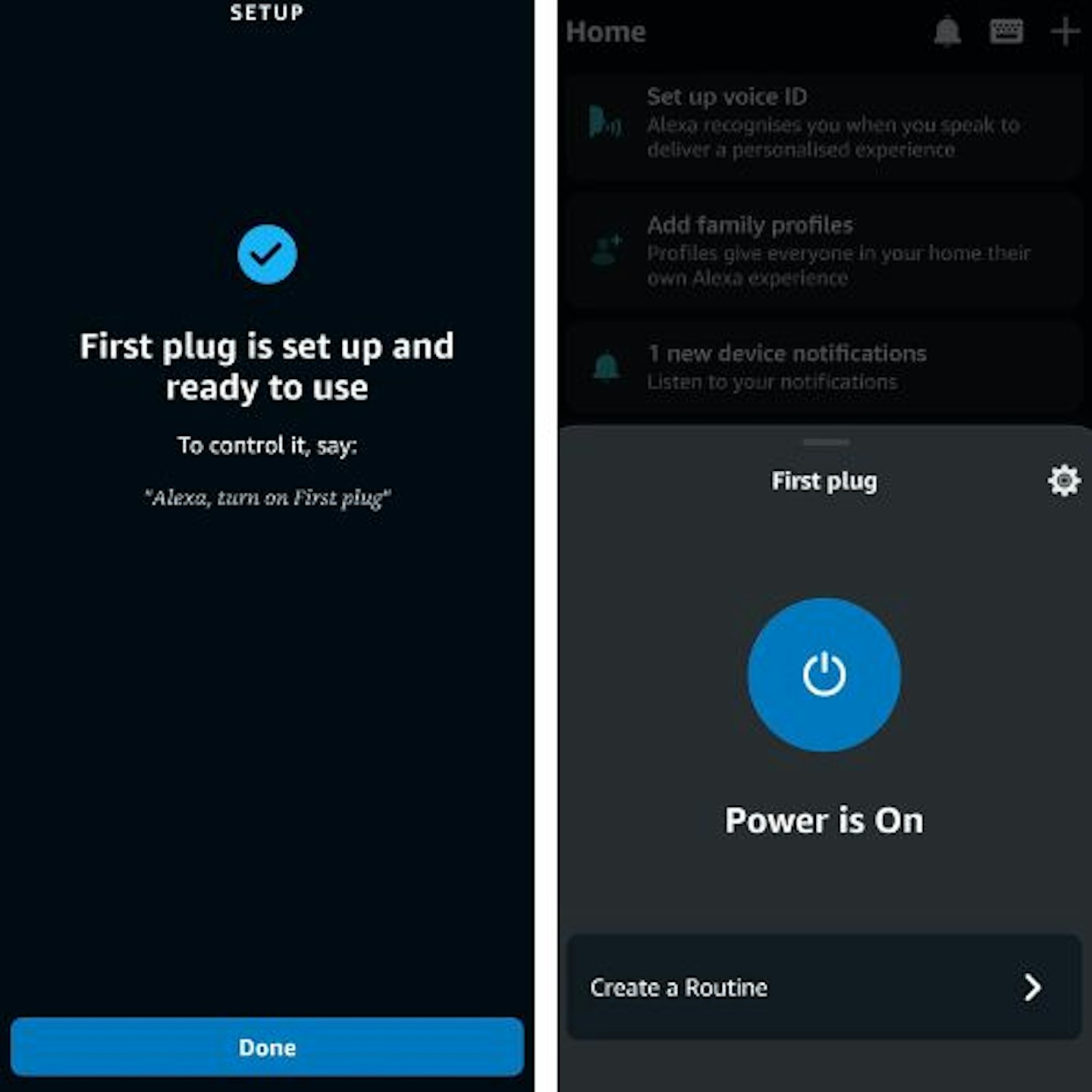 Using Alexa to control an Amazon smart plug