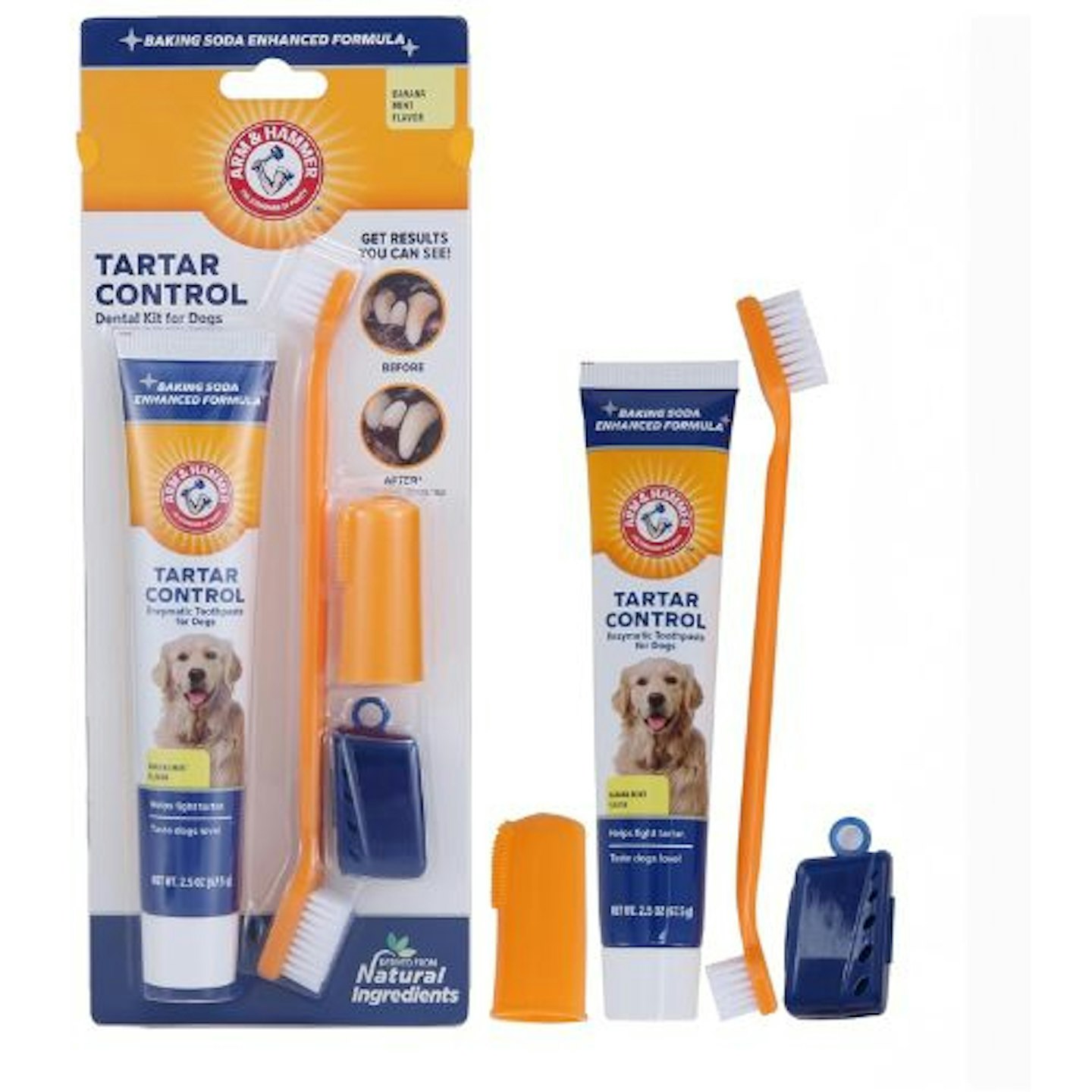 Arm & Hammer Tartar Control Dental Kit