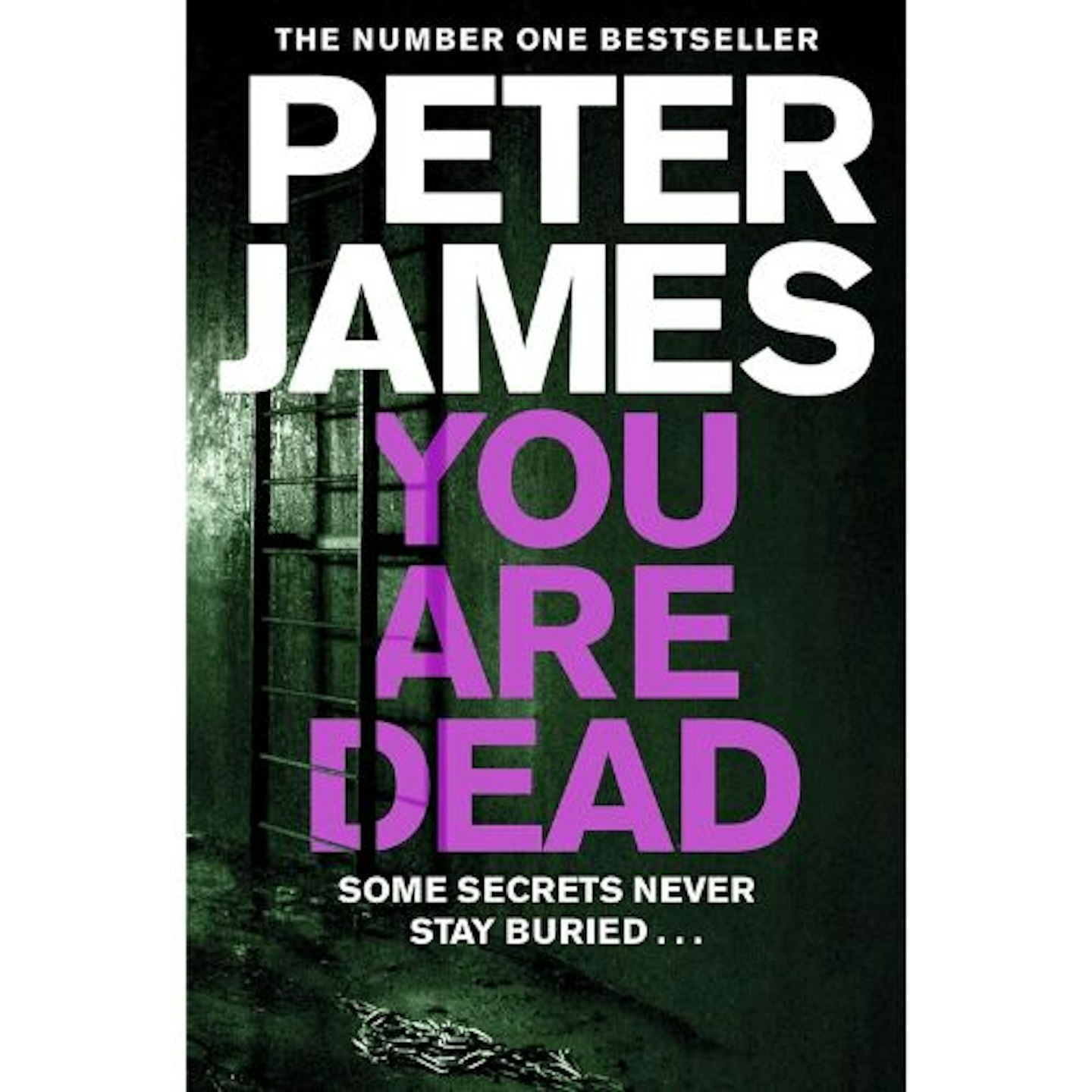 You Are Dead (Roy Grace Book 11)