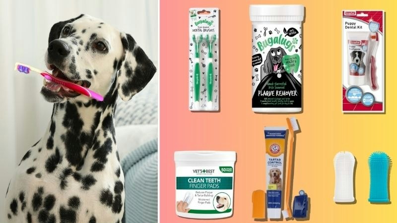 Pink Dog Toothpaste Best dog toothbrush and toothpaste for healthy canine teeth