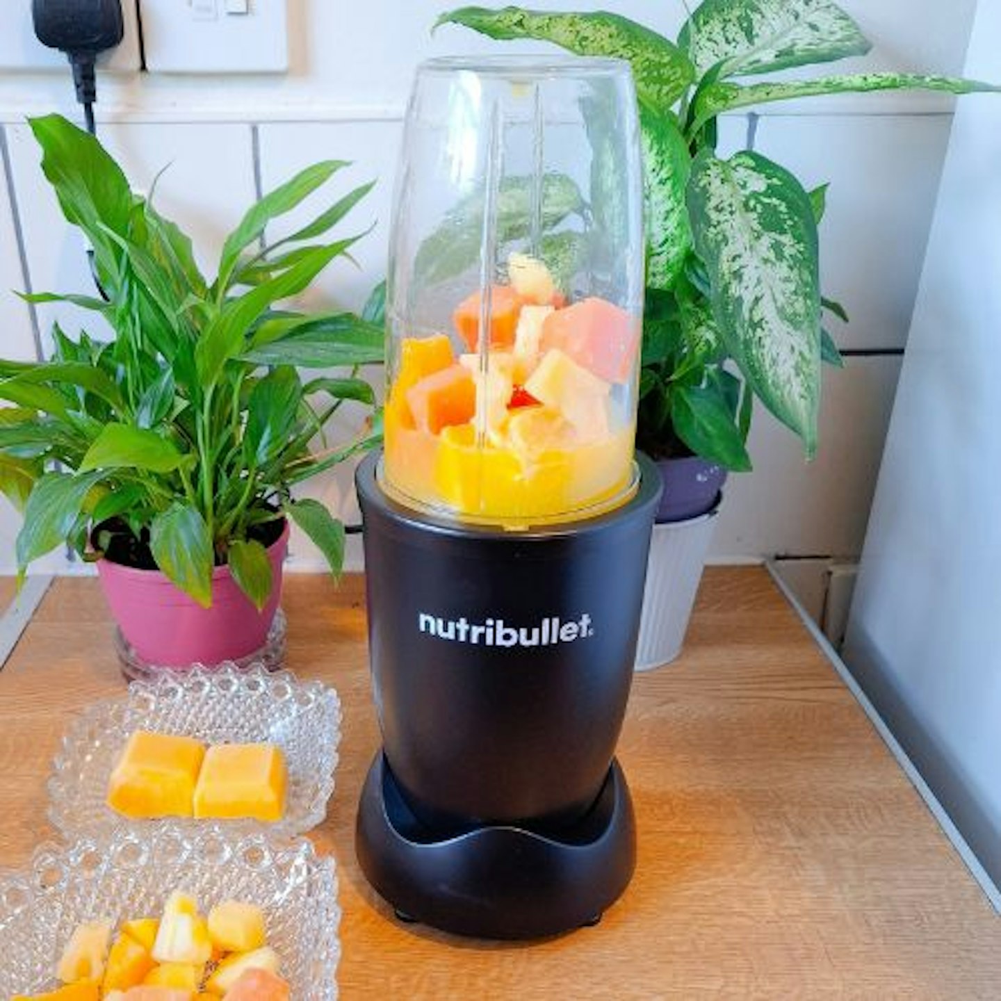 nutribullet 600 Series Starter Kit