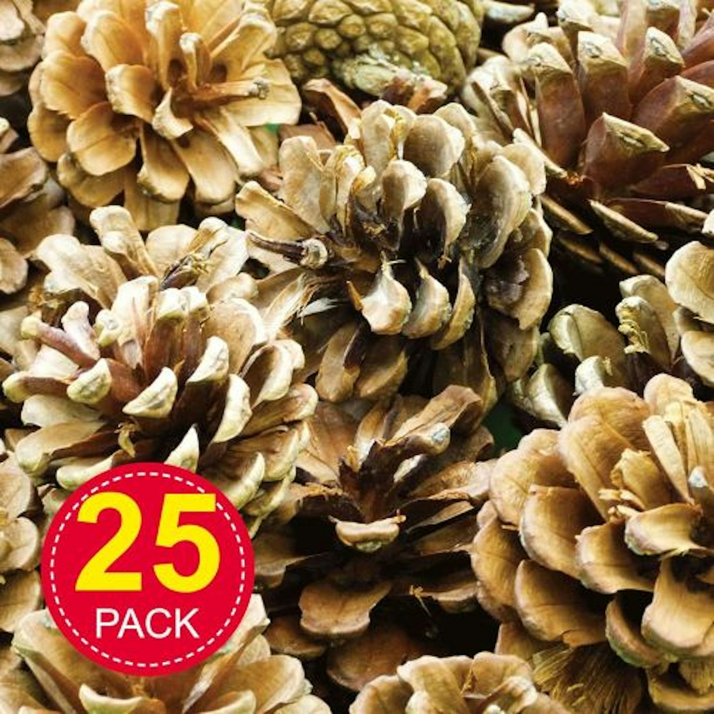 Baker Ross Natural Pine Cones (Pack of 25)