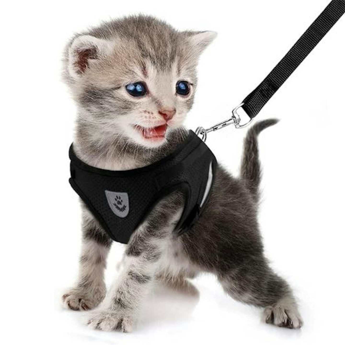 FEimaX Small Cat Harness and Leash Set