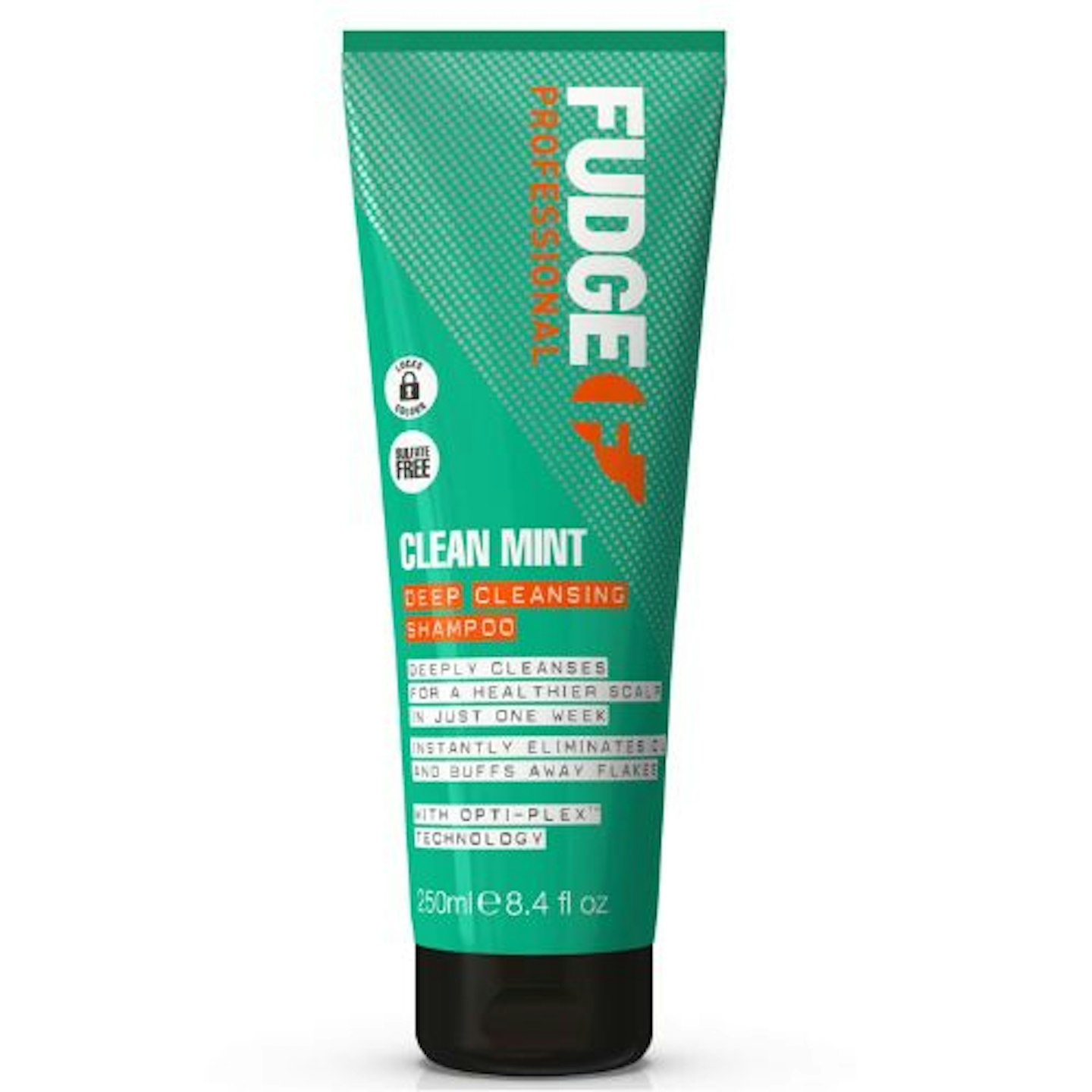 Fudge Professional Clean Mint Shampoo