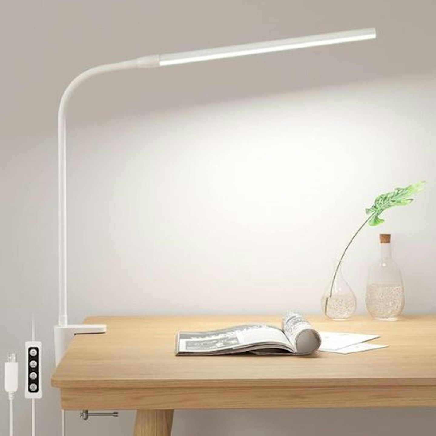 Lepro Desk Lamp