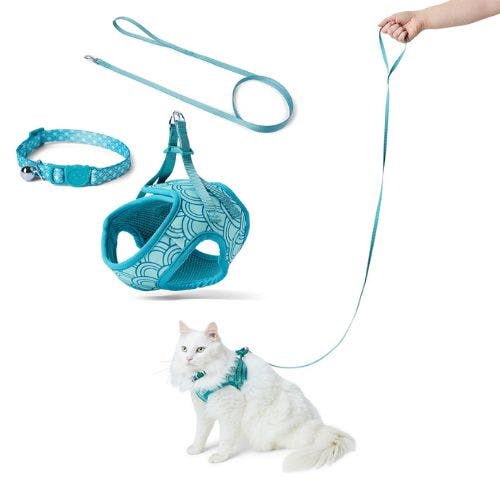 Cat leads pets at home best sale