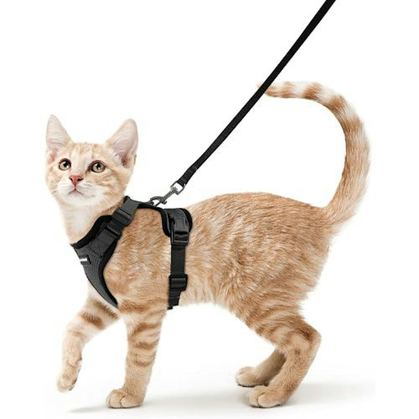 rabbitgoo Cat Harness with Leash Set 