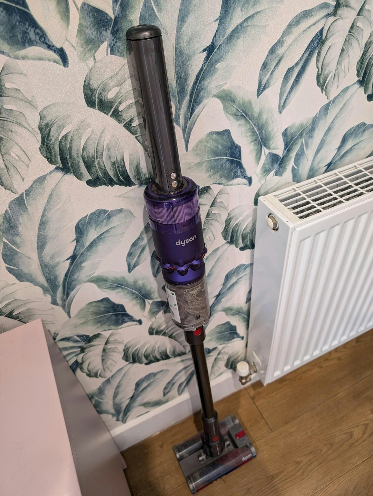 Dyson Omni-glide against a green and white wallpaper 