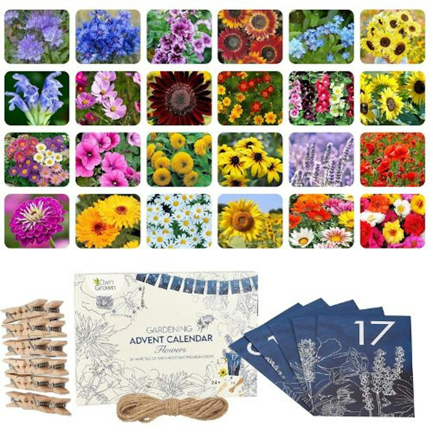 OwnGrown Flower Seeds Advent Calendar