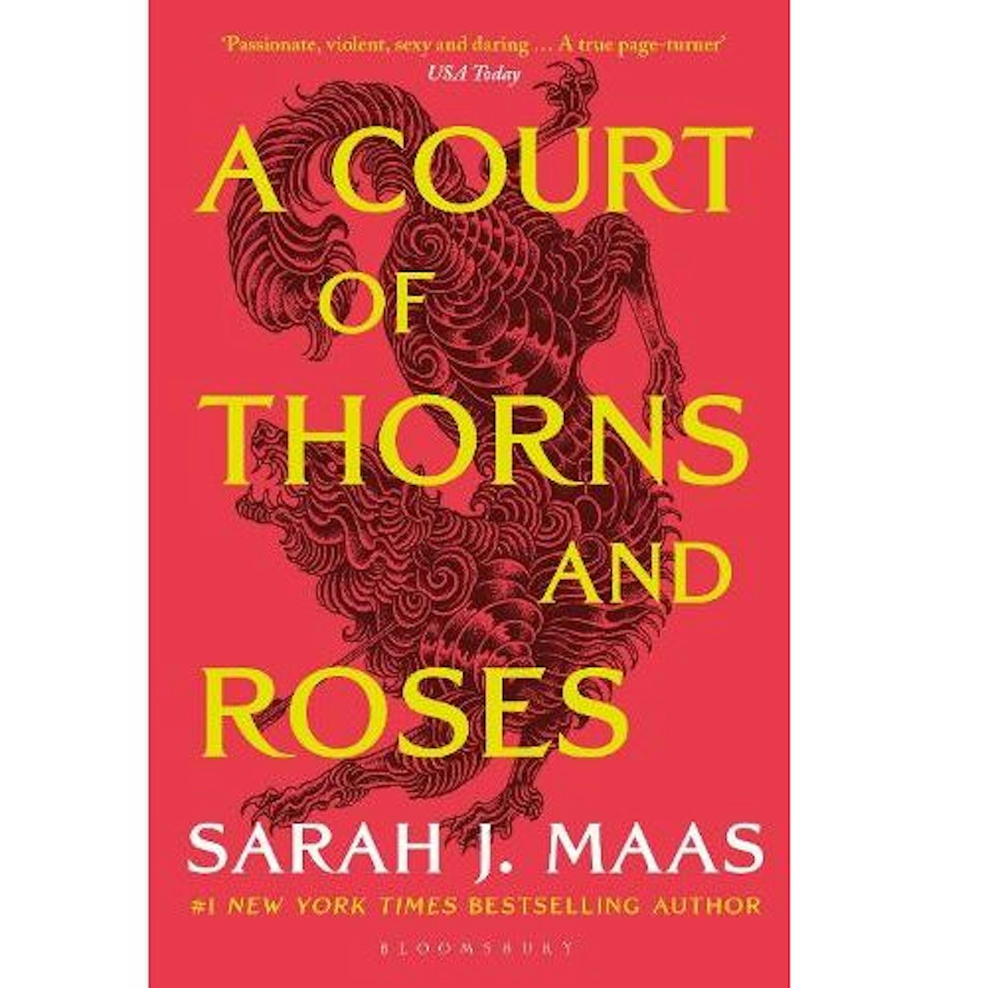 A Court of Thorns and Roses by Sarah J Maas