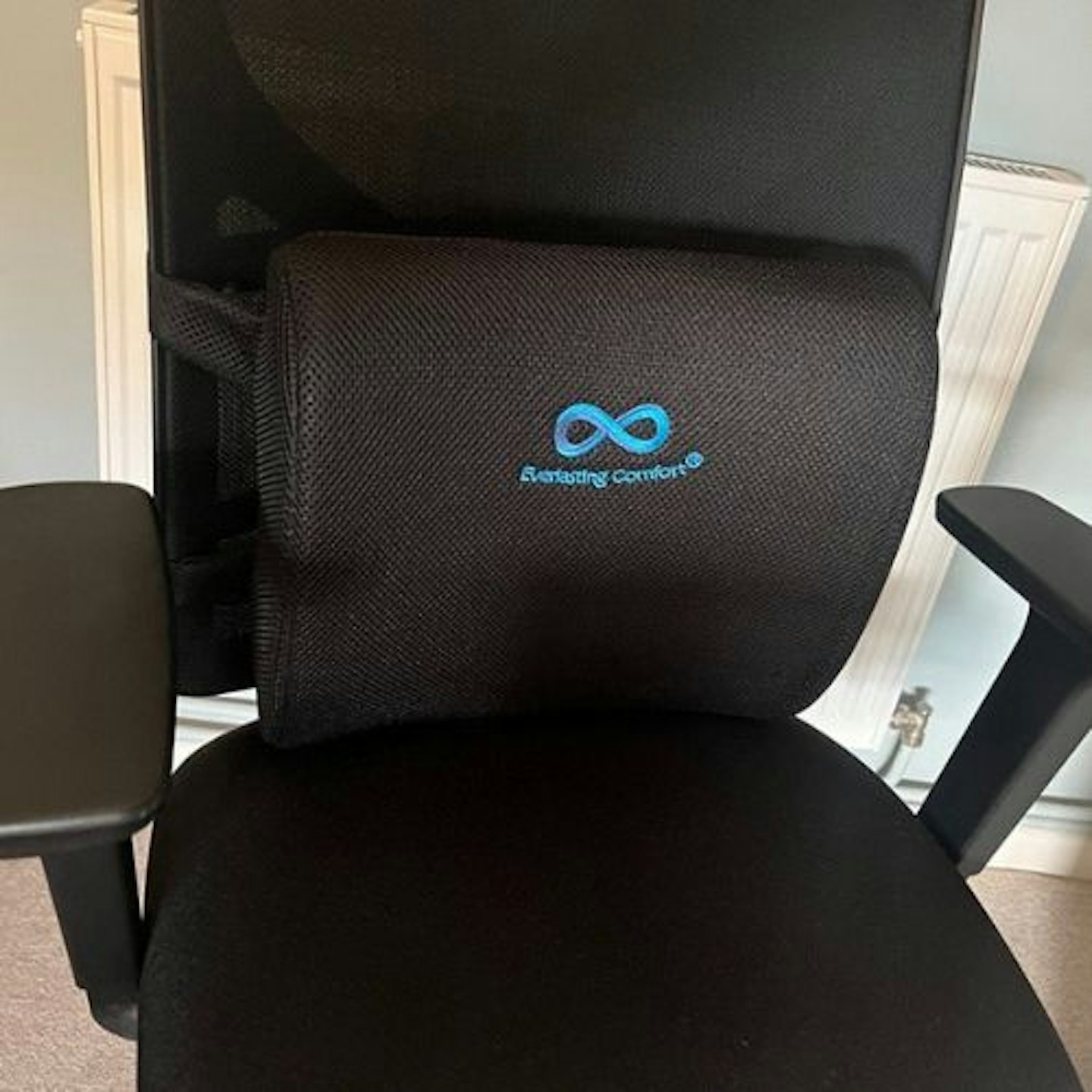 Everlasting Comfort Lumbar Support Cushion