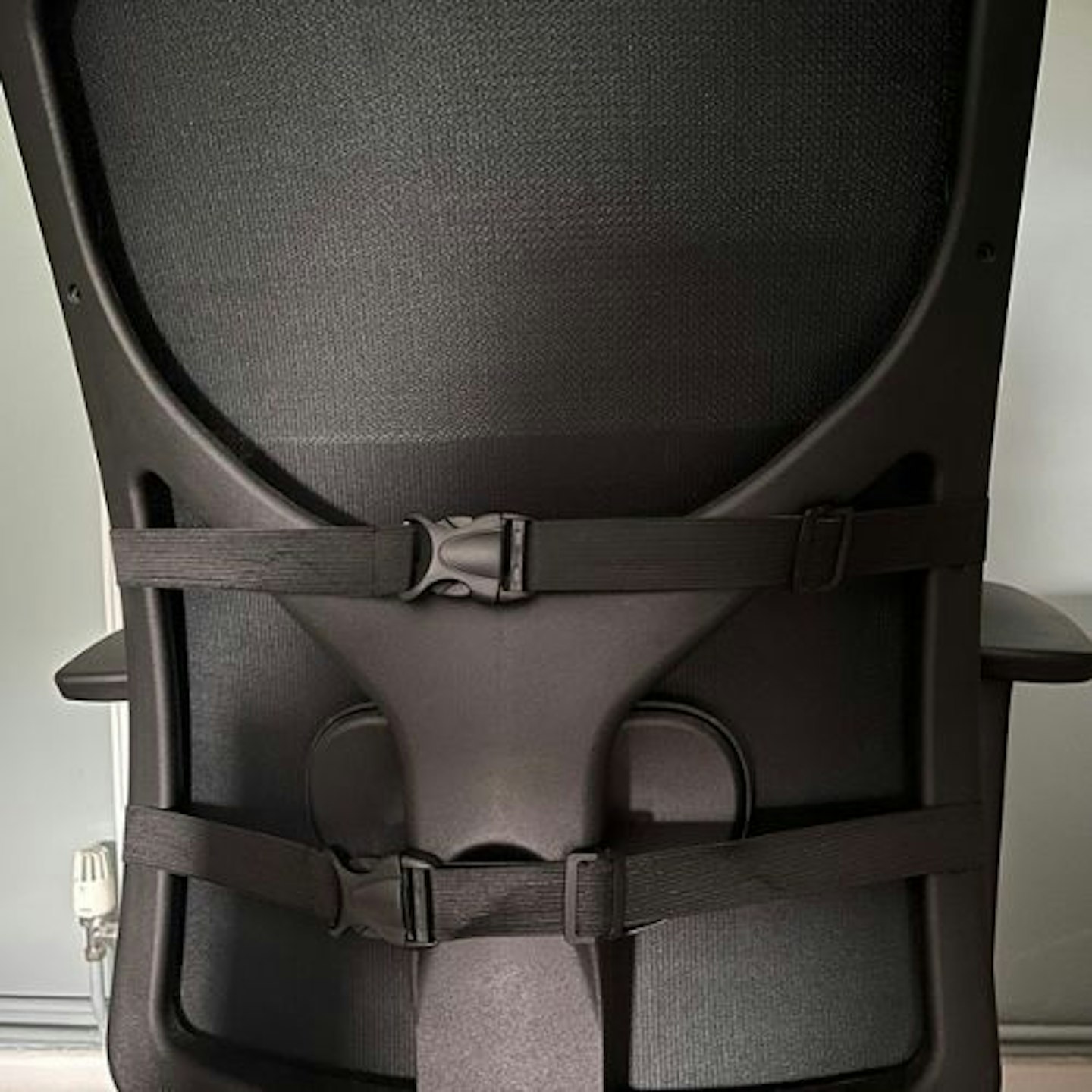 Everlasting Comfort Lumbar Support Cushion