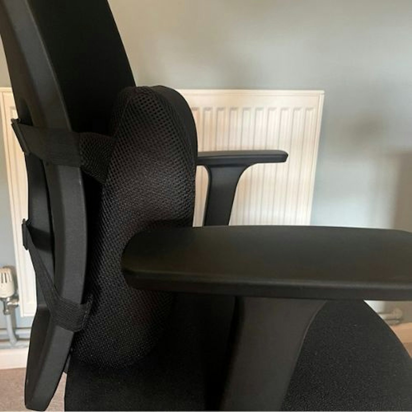 Everlasting Comfort Lumbar Support Cushion