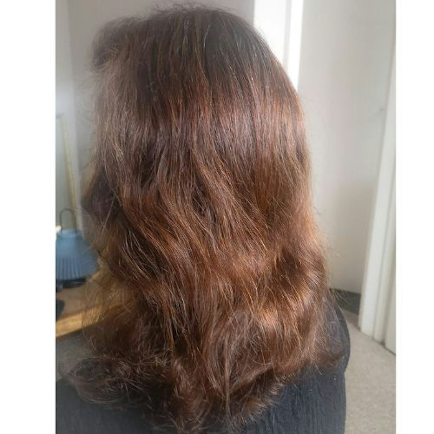 Tester's back view, hair unstyled, wavy brown hair past shoulder length