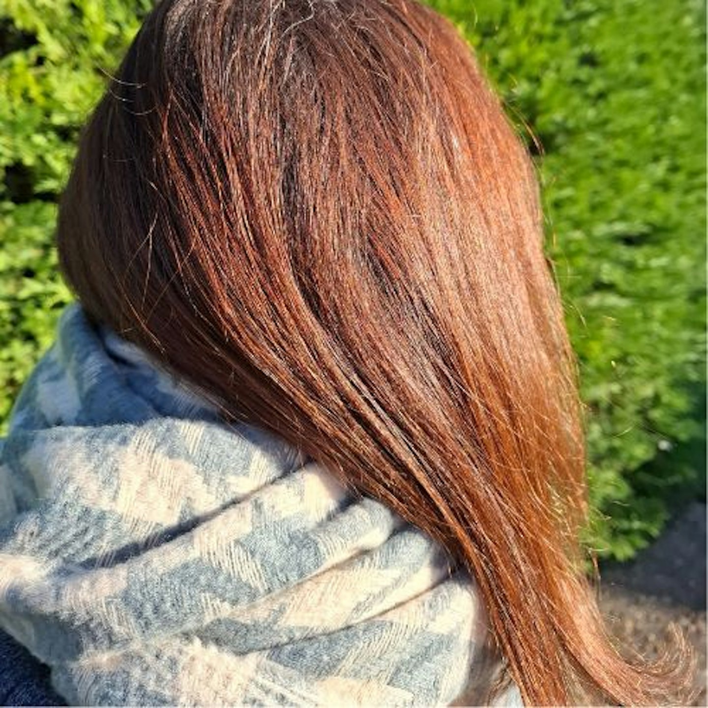 Back of tester's head, showing strong, long, shiny bronzy hair