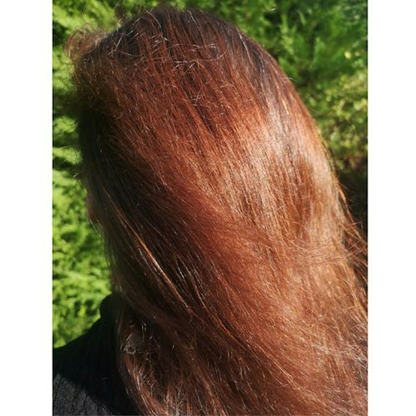 Back view of tester's long straight auburn hair