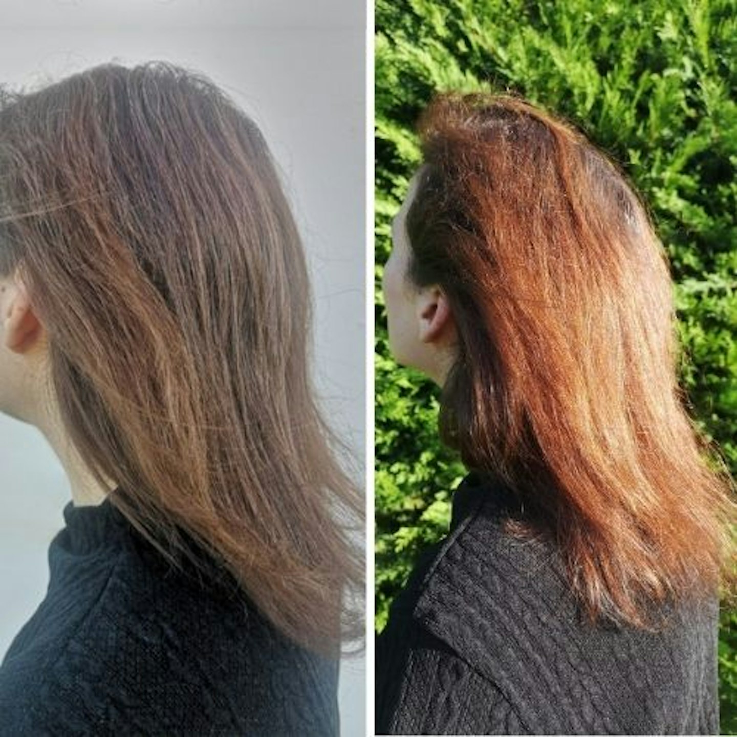 Side view of tester's hair side-by-side comparison of hair length before and after