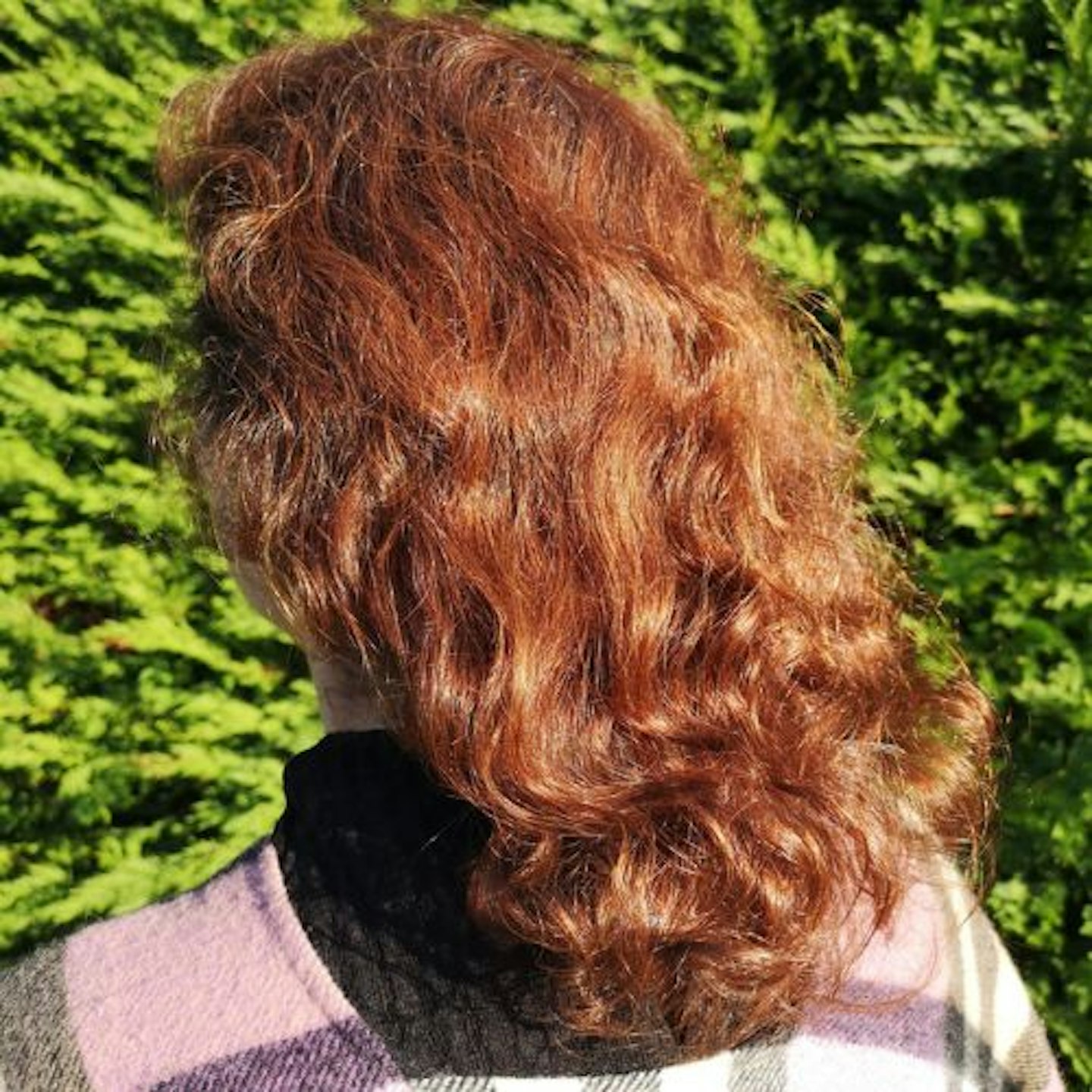 Back of tester's head, auburn curly hair unstyled, in the sunshine