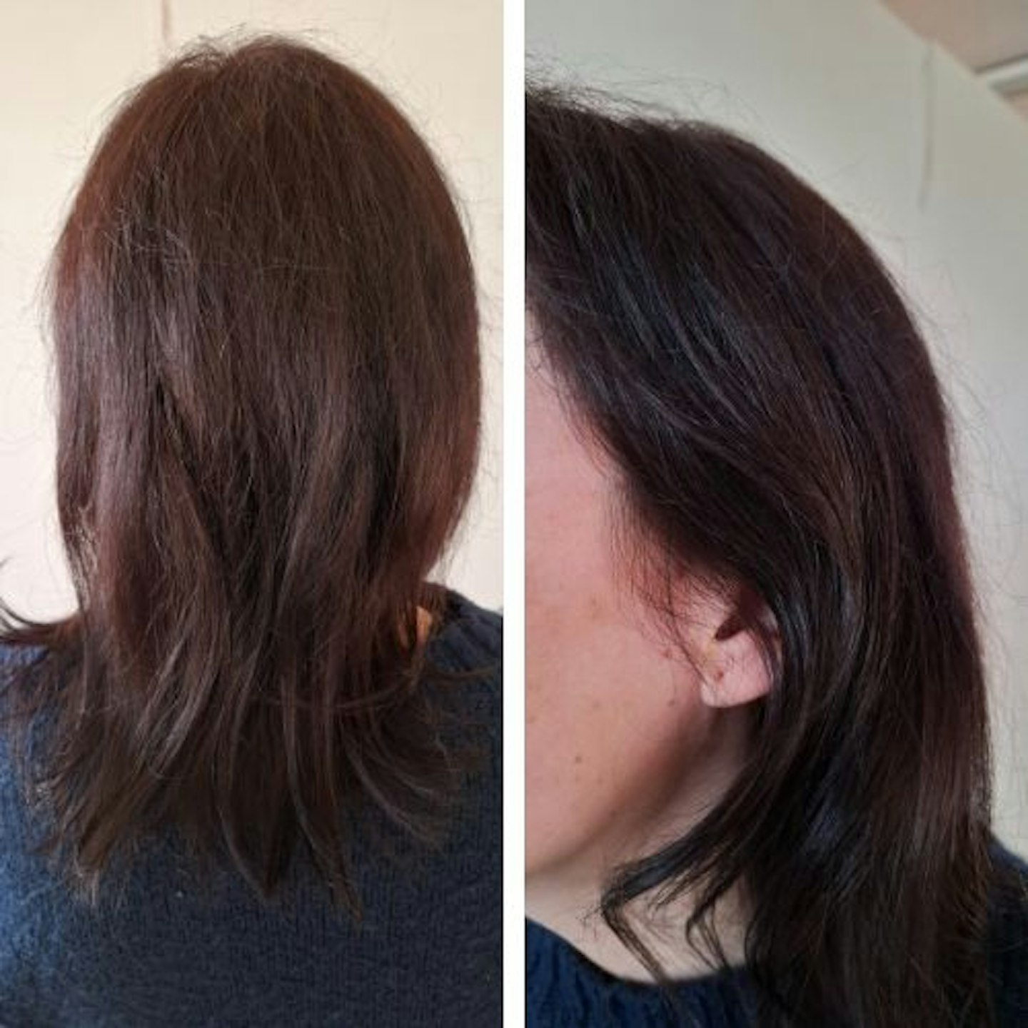 Tester's dark brown hair, straightened, back and side view