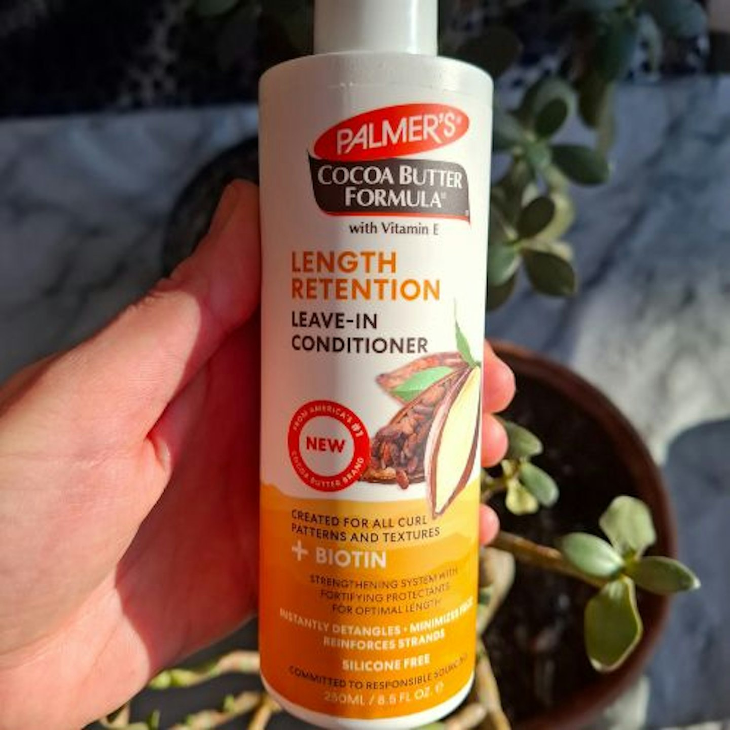 bottle of Palmer’s Cocoa Butter Formula Length Retention Leave-In Conditioner in tester's hand in sunshine with jade plants in the background