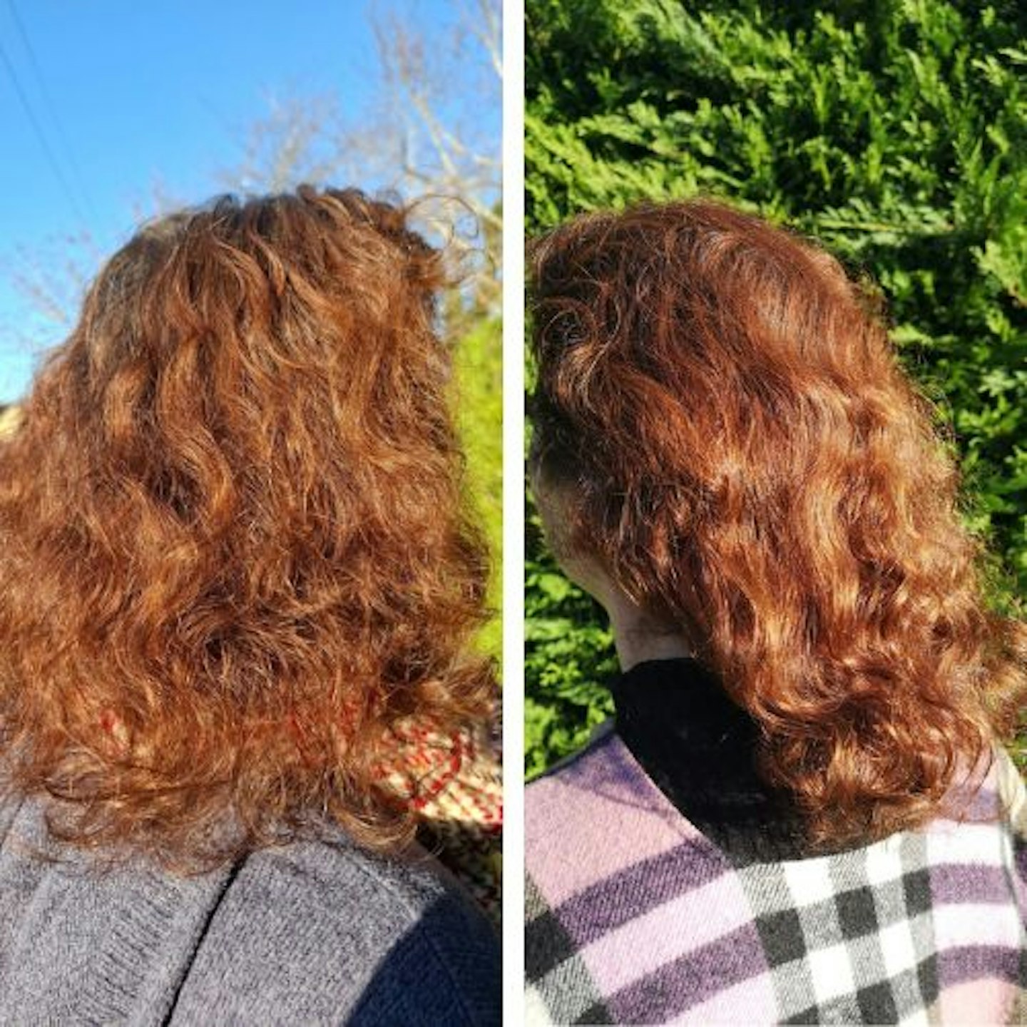 before and after, tester's unstyled auburn hair on the left is frizzy with less defined curls, hair on the right is more lustrous and has thick defined curls