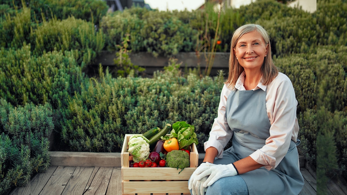 A mature woman farmer in an apron sitting on a bench with a wooden box of harvested vegetables