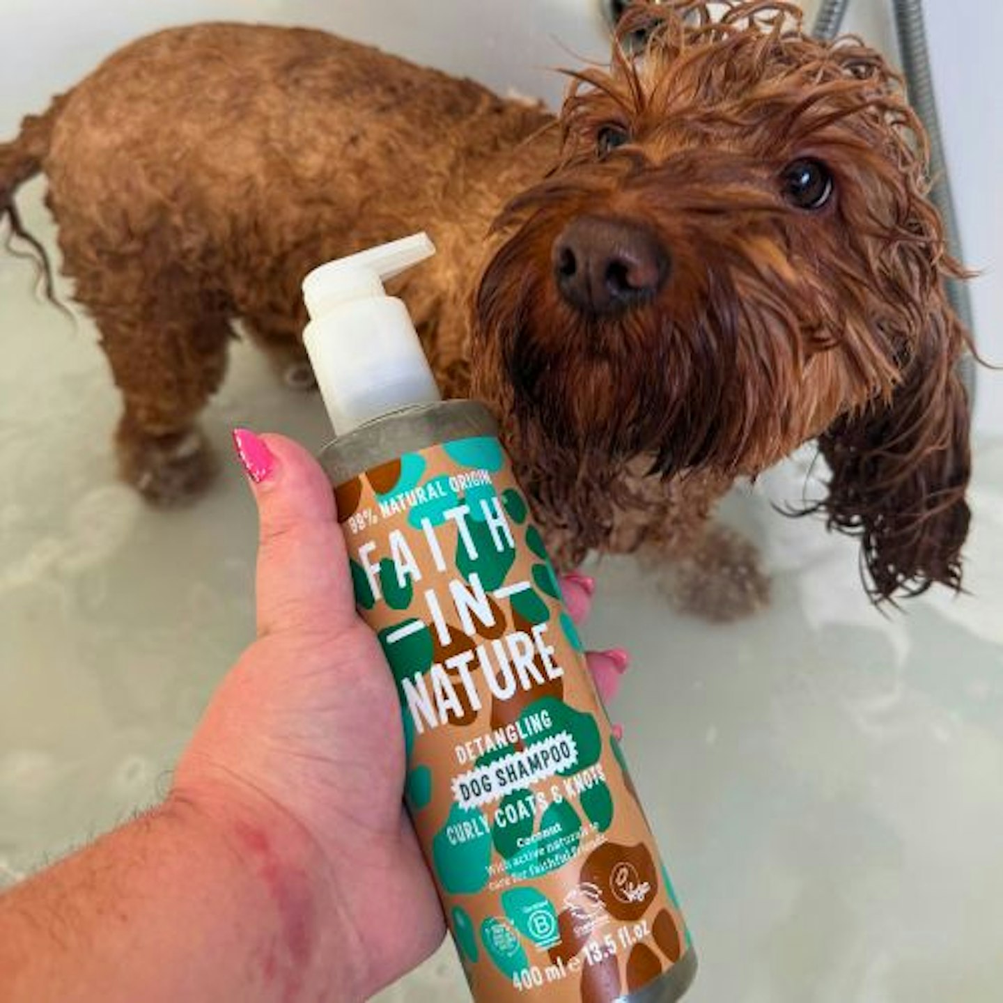 Tried & Tested by Rosie Floyd & Bella the Cockapoo: Faith in Nature Coconut Dog Shampoo for Curly Coats