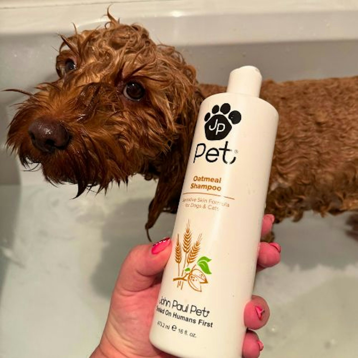 Tried & Tested by Rosie Floyd & Bella the Cockapoo: John Paul Pet Oatmeal Shampoo