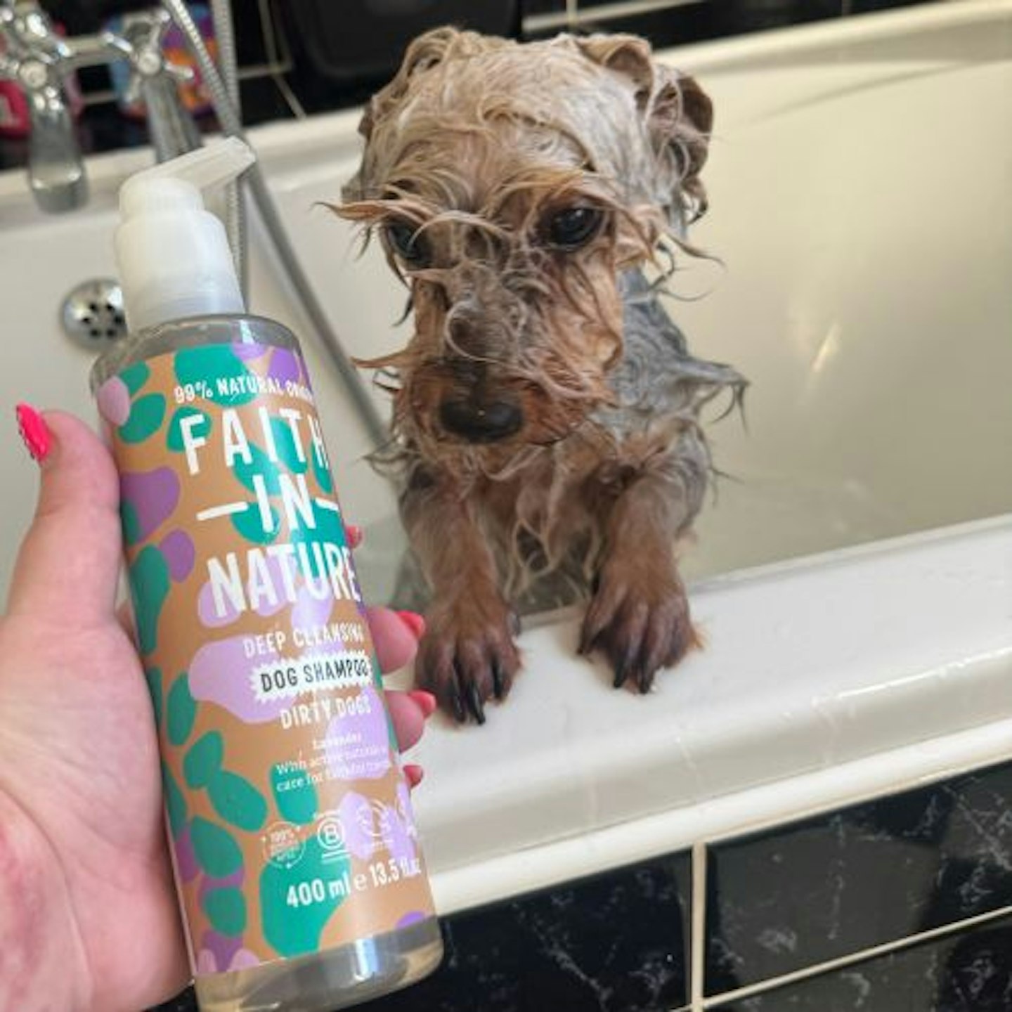 Tried & Tested by Rosie Floyd & Gina the Yorkshire Terrier cross: Faith in Nature Dog Shampoo for Dirty Dogs