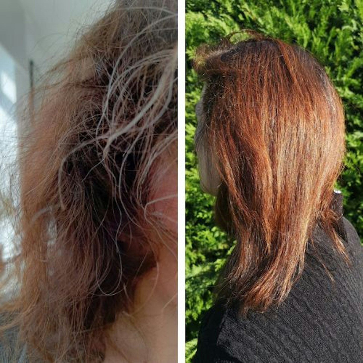 before and after of dry frizzy auburn hair versus straight and healthier looking hair 