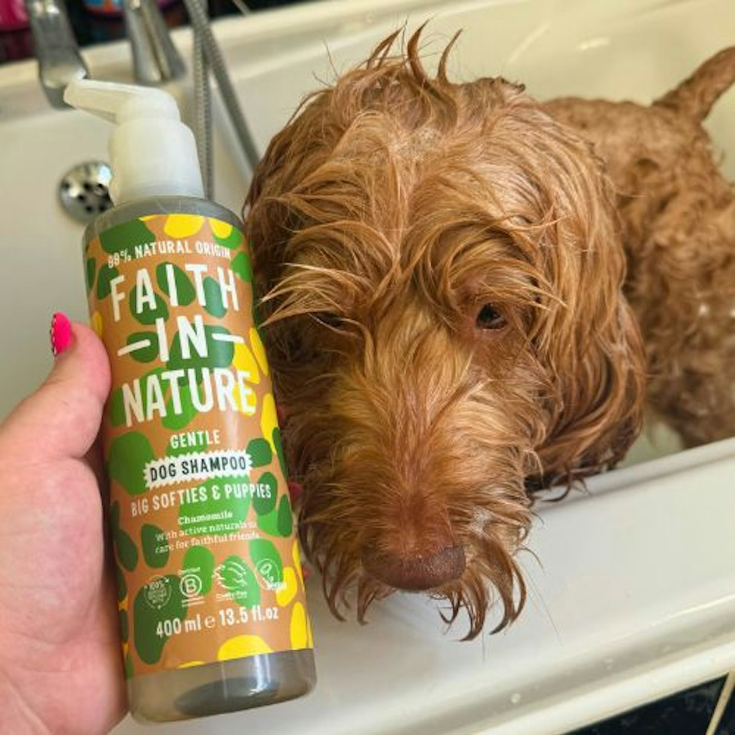 Tried & Tested by Rosie Floyd & Teddie the Cockapoo: Faith in Nature Dog & Puppy Shampoo