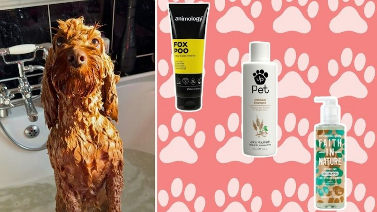 Scapoo Dog Tried + Tested: The best dog shampoos for squeaky clean pups