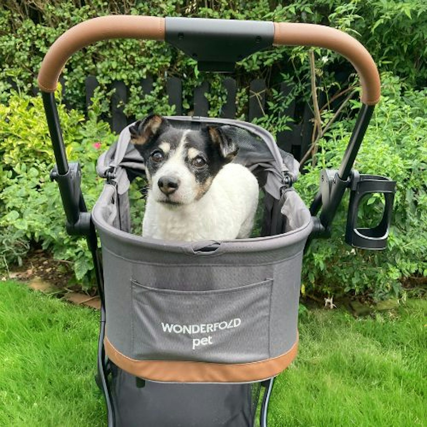 Bailey in the Wonderfold Folding Pet Stroller