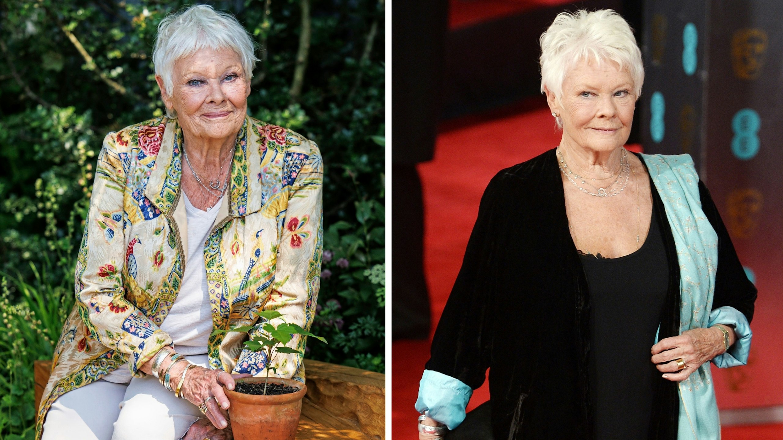 Judi with one of her saplings (left), and Judi’s determined stride down the red carpet (right)