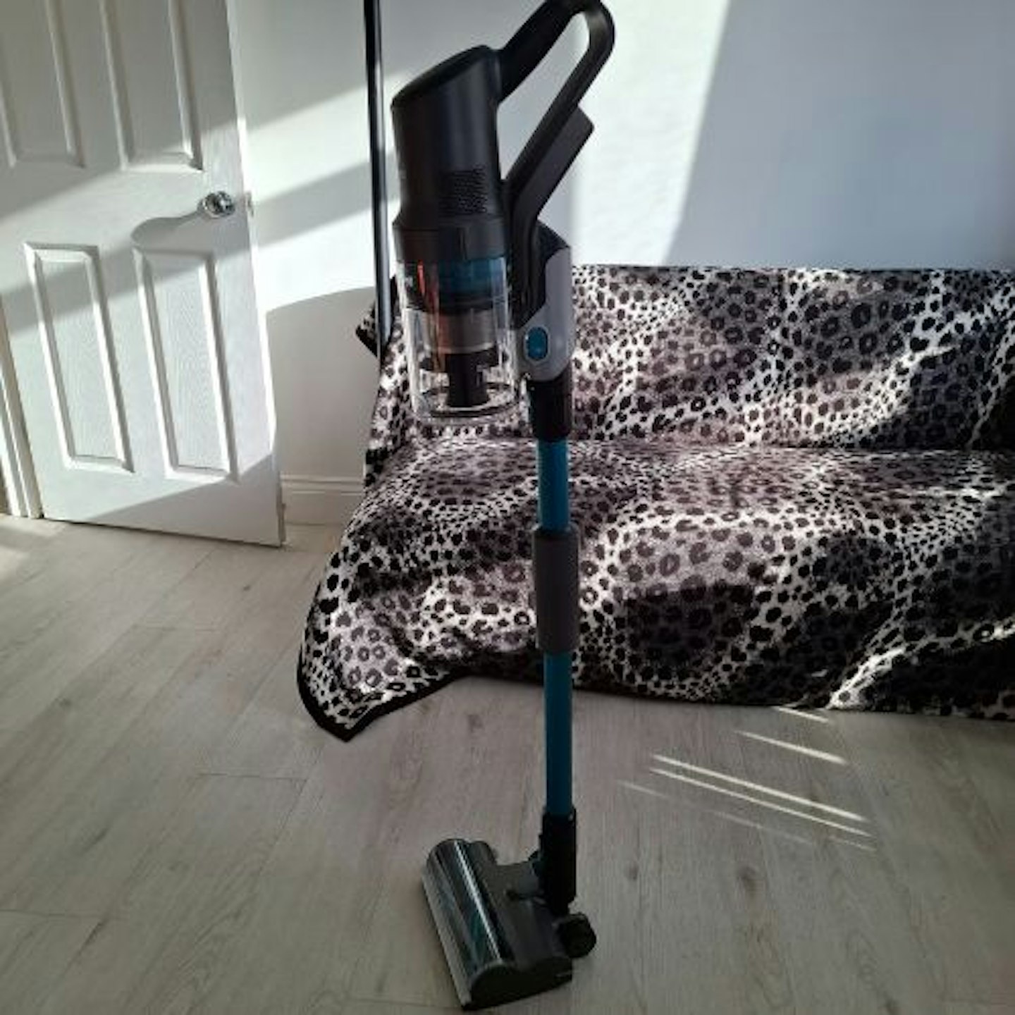 self-standing VAX HomePro Pet Design Cordless Vacuum Cleaner