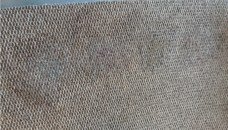 Clean carpet after using Vax Spotwash