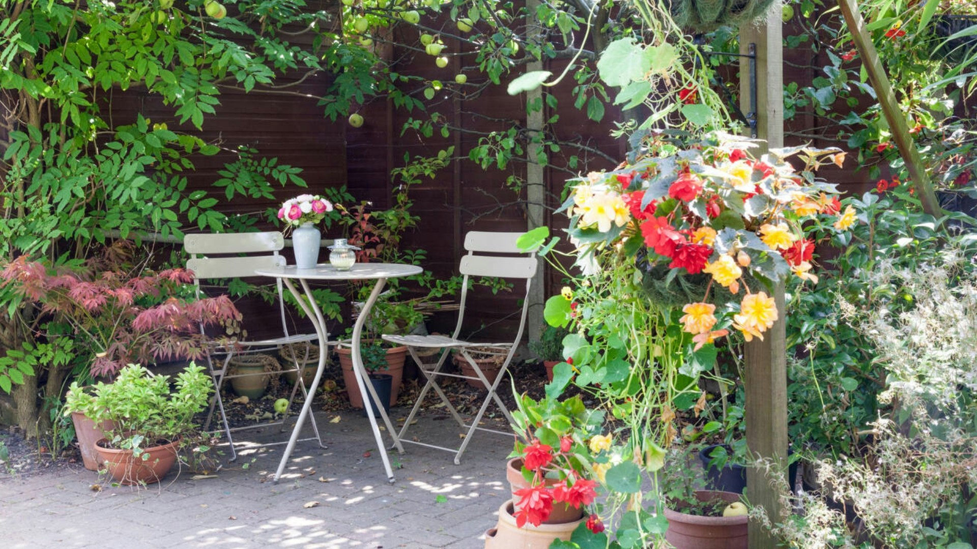 Shady corner in a garden with overhanging apple tree