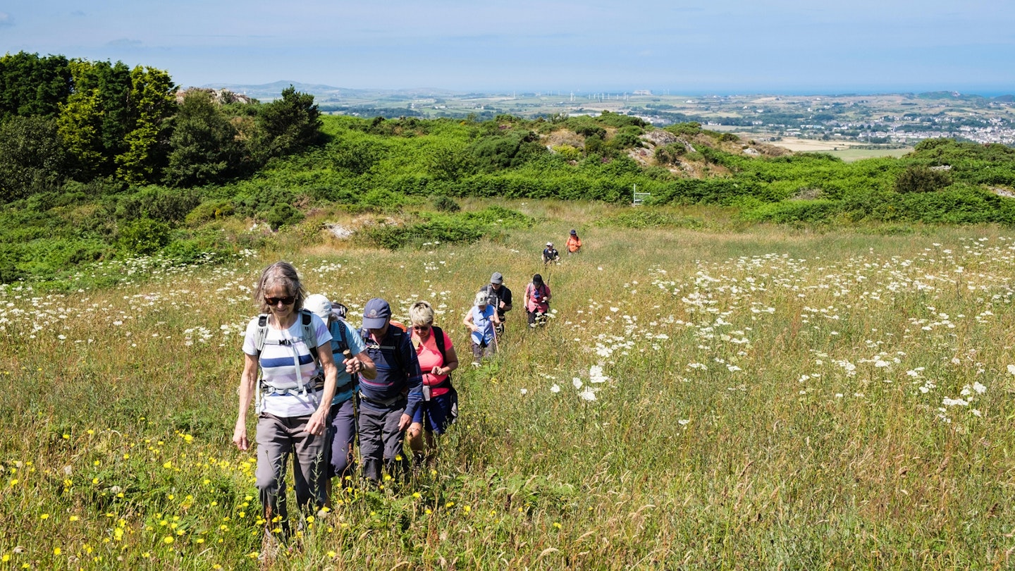 Ramblers walking on a footpath through a wildflower meadow in countryside in summer