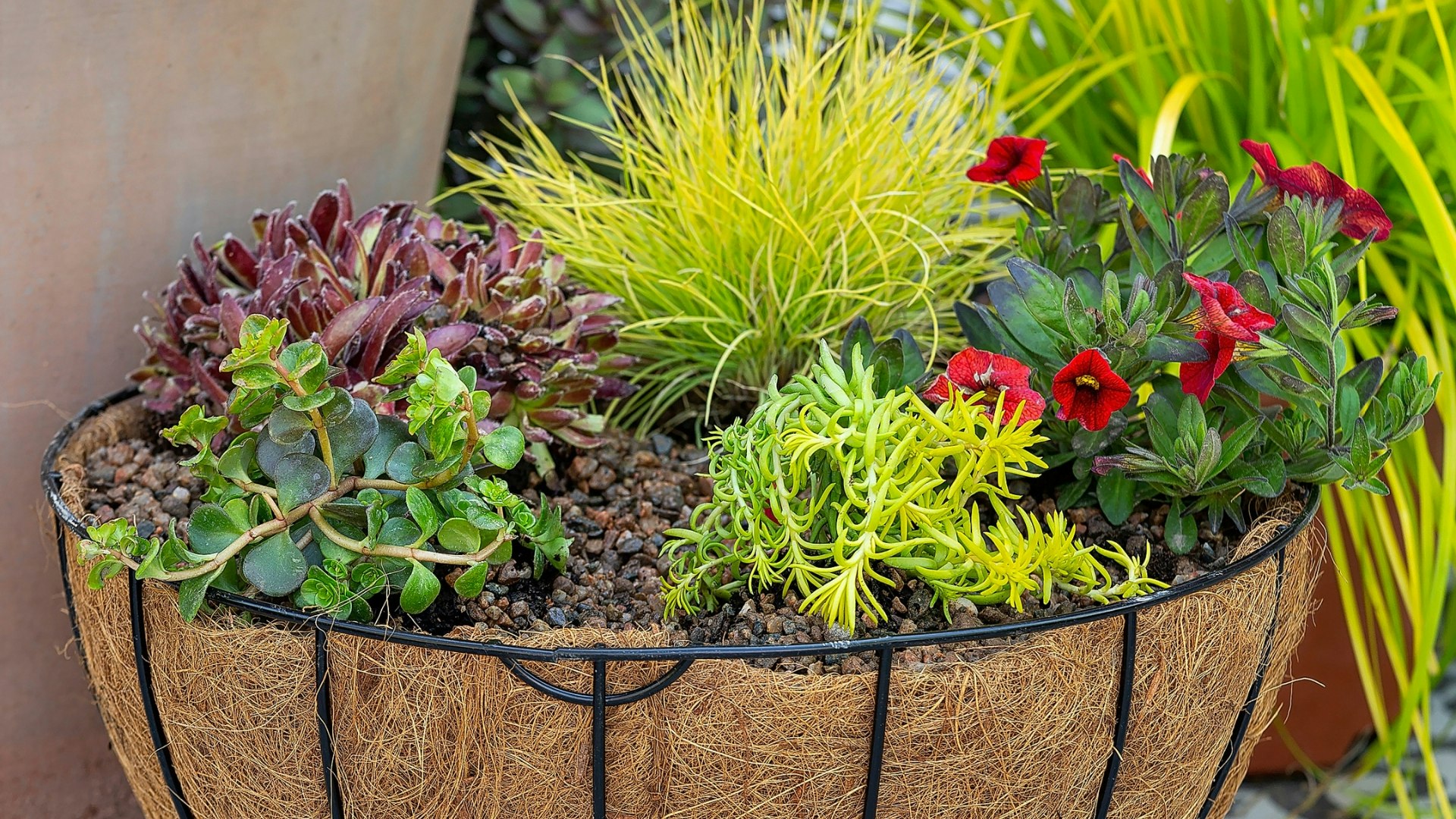 hanging basket