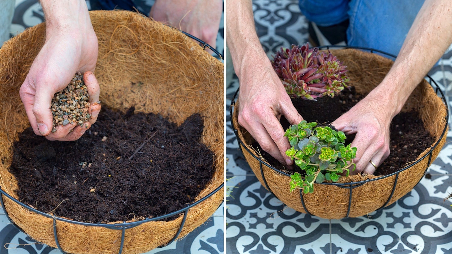 planting a hanging basket