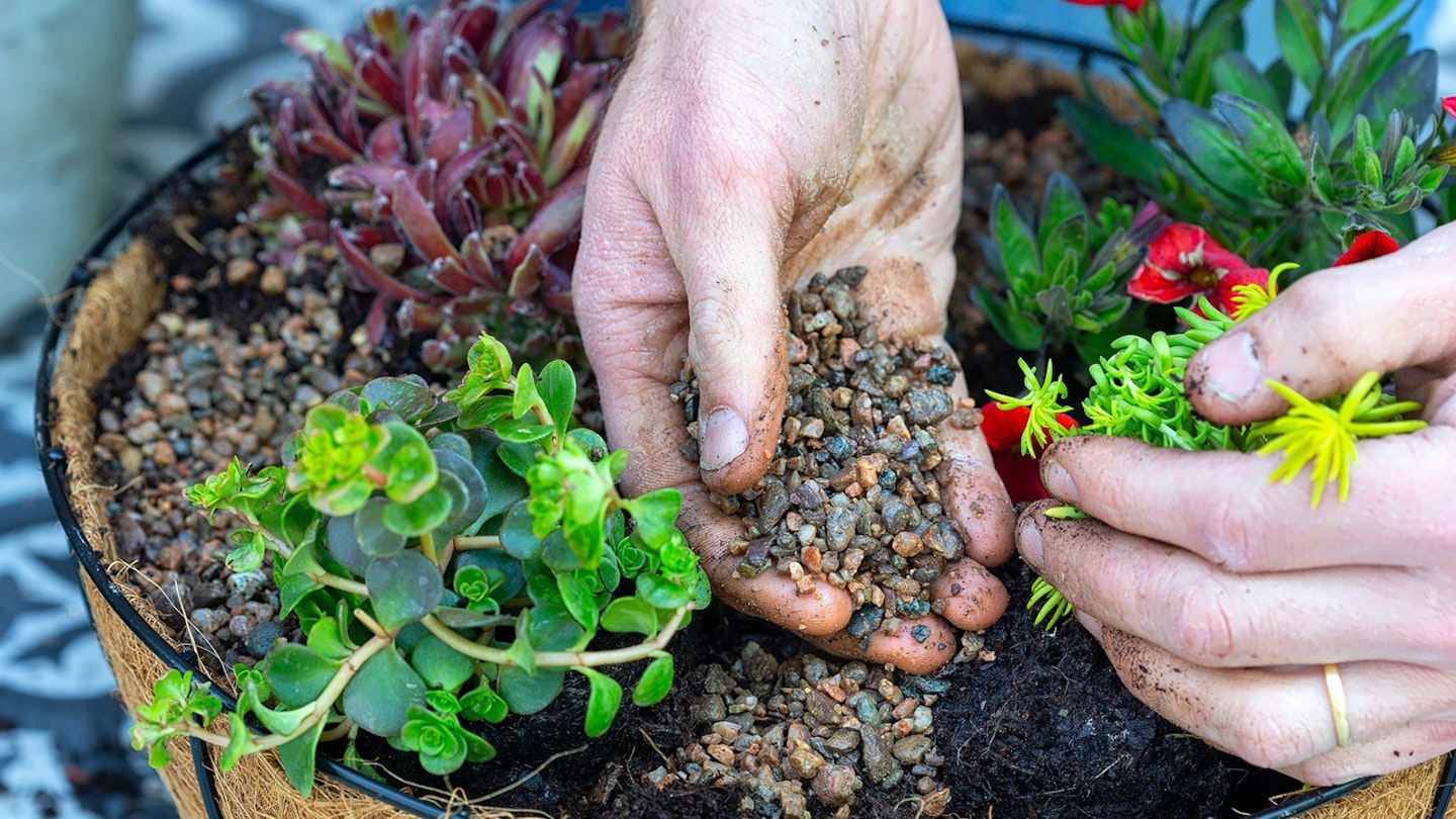 planting a hanging basket