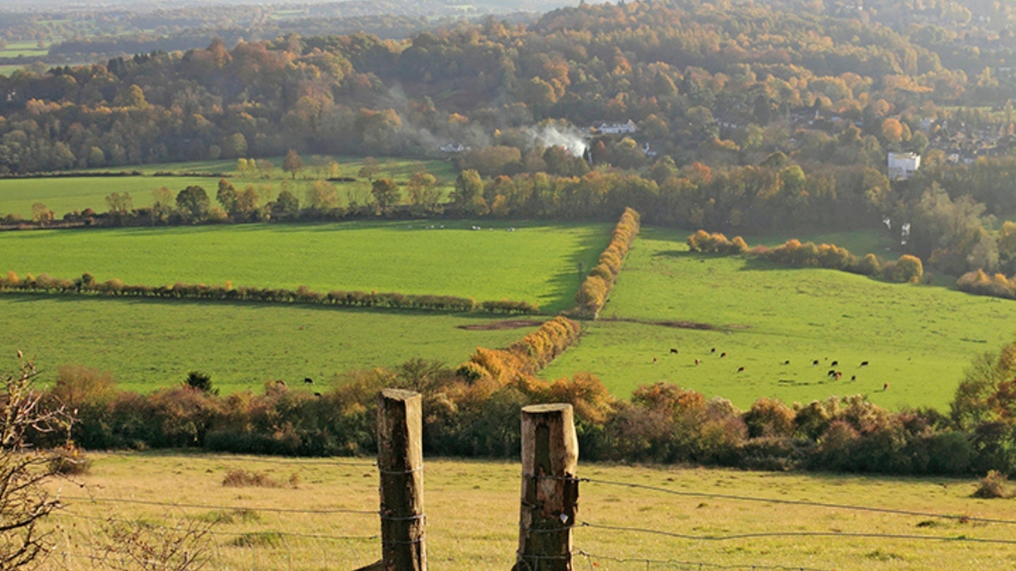 View from Box Hill, Surrey, England UK