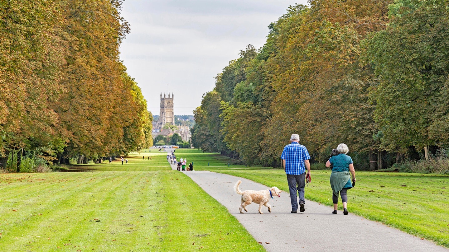 Walking the dog in Cirencester Park, Cirencester, Gloucestershire, England, UK